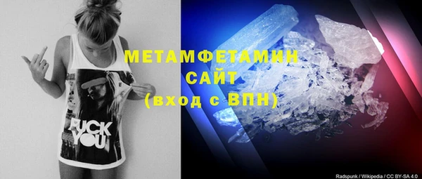 ГАЛЛЮЦИНОГЕННЫЕ ГРИБЫ Козловка