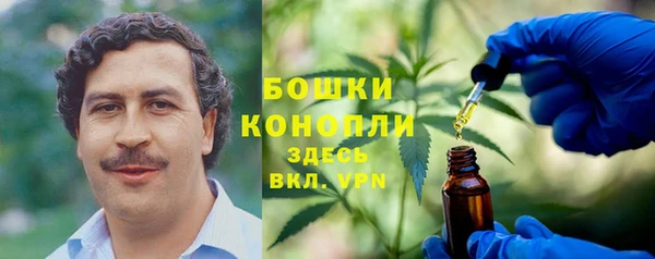гидра Козельск