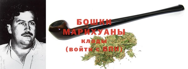 ГАЛЛЮЦИНОГЕННЫЕ ГРИБЫ Козловка