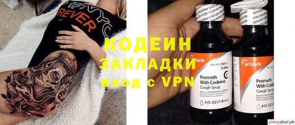 ГАЛЛЮЦИНОГЕННЫЕ ГРИБЫ Козловка
