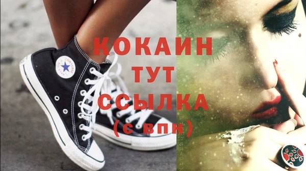 ГАЛЛЮЦИНОГЕННЫЕ ГРИБЫ Козловка