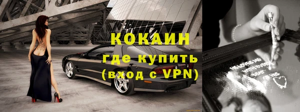 ГАЛЛЮЦИНОГЕННЫЕ ГРИБЫ Козловка